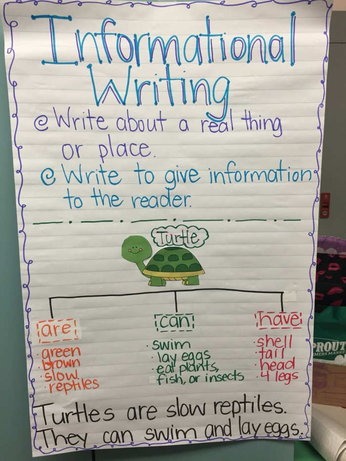 Informative Essay Anchor Paper Activity Sheet 14 Fourth grade student worksheet for analyzing informative essay structure and identifying key supporting details