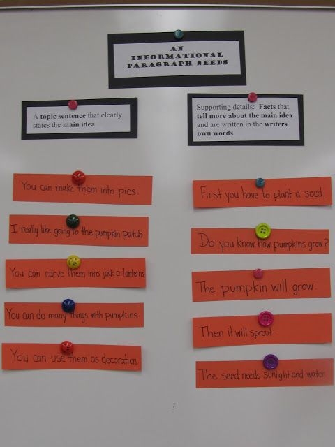 Mixed Up Essay worksheet for engaging essay construction activity Worksheet for organizing an informative essay in a fun way for fourth graders