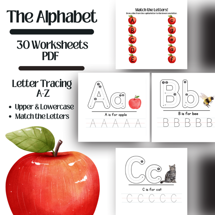 Grammar and Mechanics worksheet for Fourth Grade Letter template worksheet for fourth-grade students to practice writing various types of letters. Engaging resource for teaching formal and informal letter writing skills.