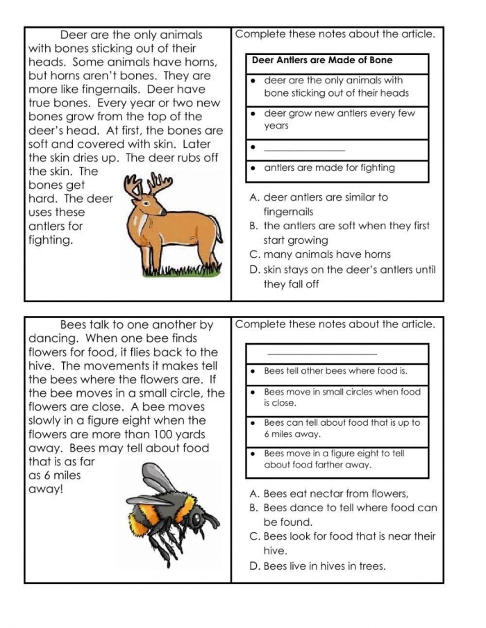 Main Ideas and Supporting Details Worksheet for 4th Grade Science 25 Fourth grade Earth and Space Science worksheet focusing on identifying main ideas and supporting details 25