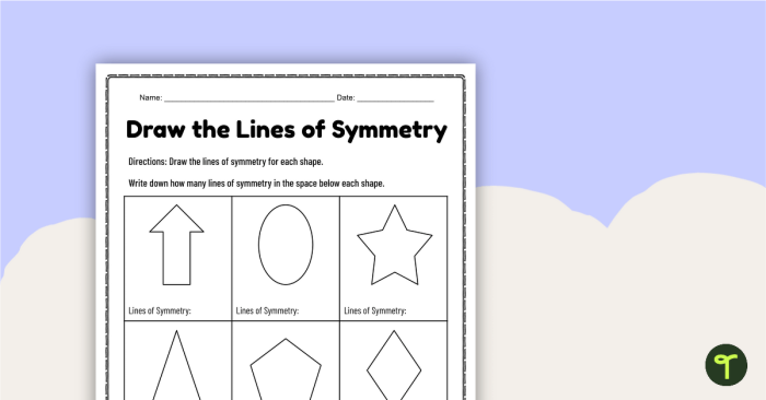 Fourth grade math worksheet featuring nine geometric shapes for students to draw a line of symmetry 25