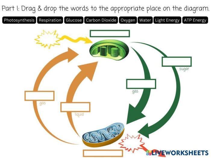 Easter-themed fourth grade worksheet for practicing measurement conversions between inches and feet