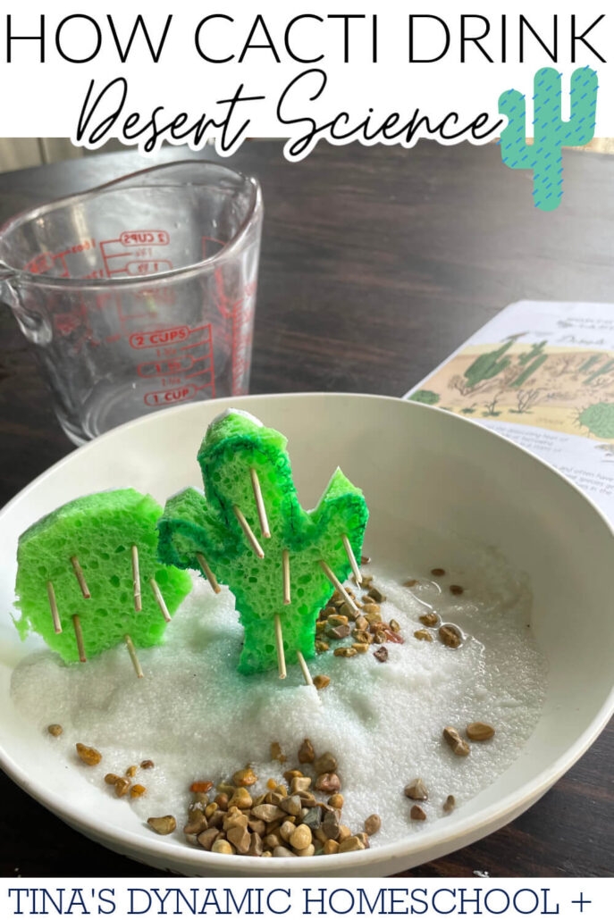 Fourth grade math worksheet featuring a measuring cup diagram to solve six measurement conversion problems for liquid capacity