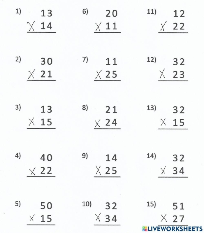 Fourth grade math worksheet featuring several two-digit by two-digit multiplication problems for students to solve