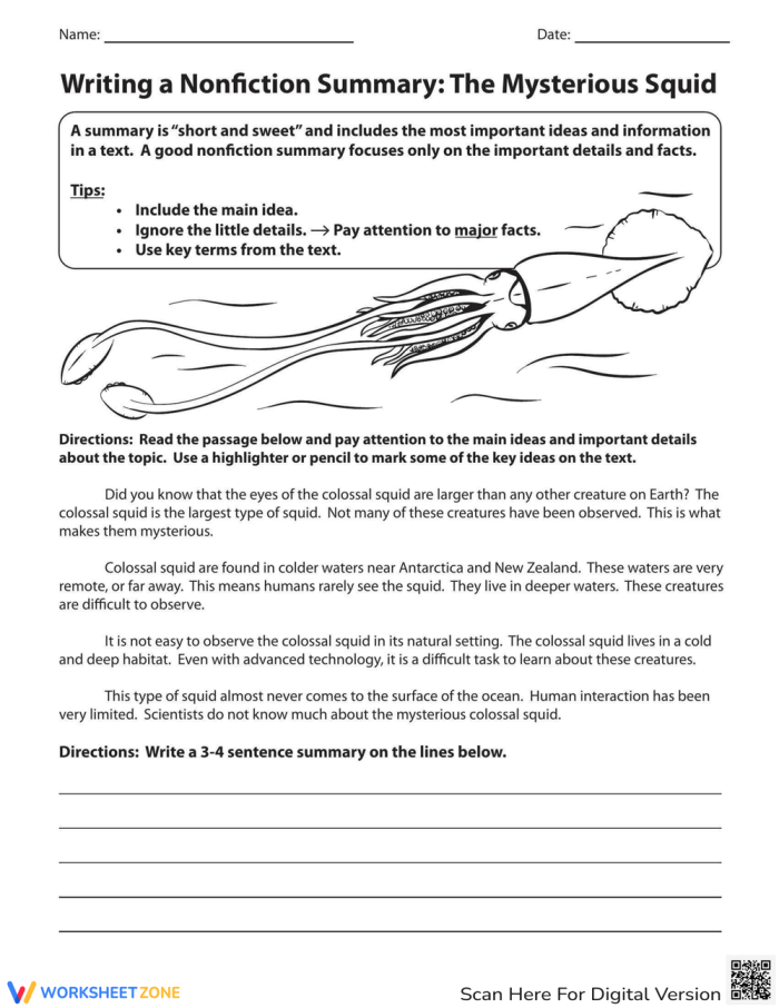 Worksheet for summarizing nonfiction about the Mimic Octopus for fourth graders