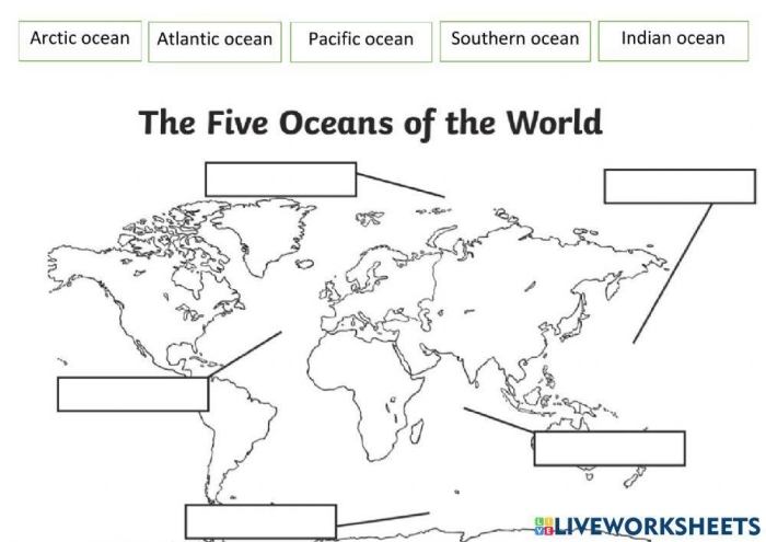 World Oceans Worksheet Number Fifteen for Fourth Grade Data and Graphing Fourth grade students analyzing data and graphing the world oceans on a science worksheet