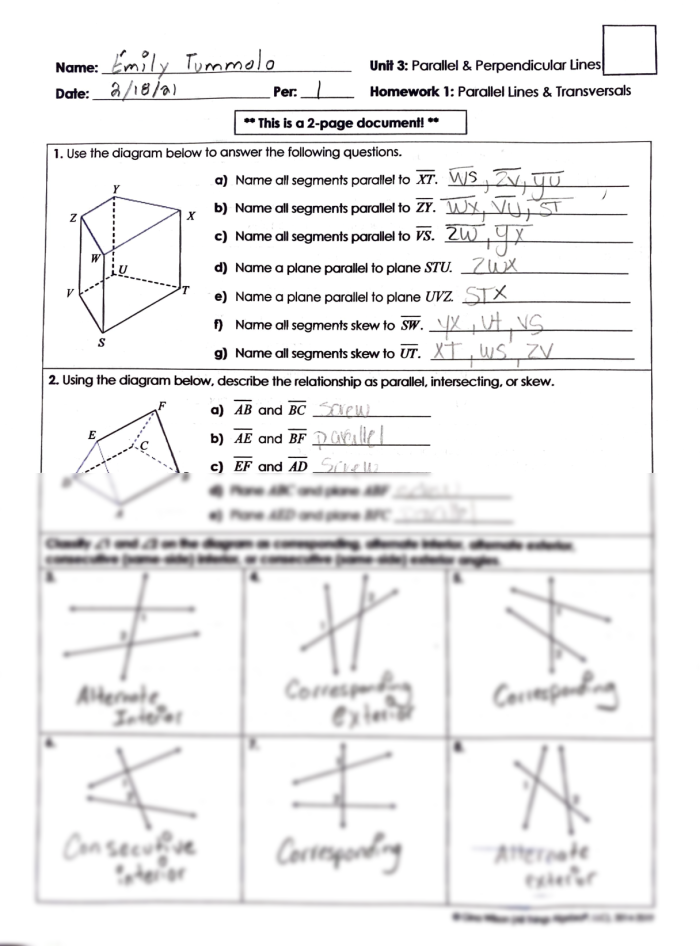 Parallel and Perpendicular Lines Worksheet 4 Geometry Practice Fourth grade student working on a parallel and perpendicular lines geometry worksheet