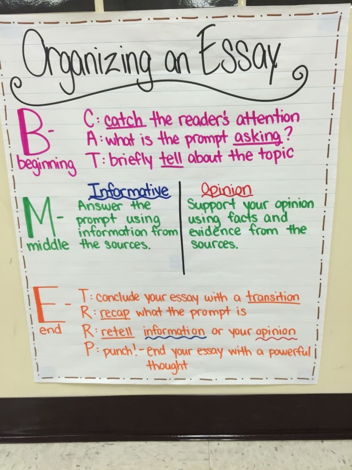 Anchor Paper worksheet for analyzing opinion essays in a multiplication context Example of an opinion essay worksheet for fourth graders focusing on persuasive writing elements
