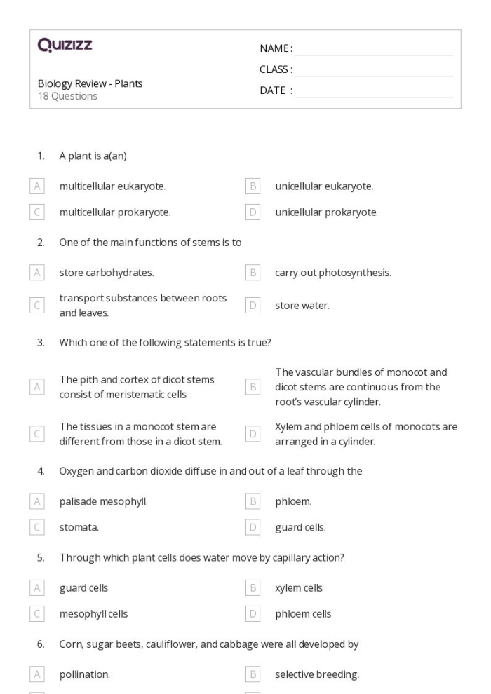 Fourth grade students completing a science worksheet quiz about plant biology