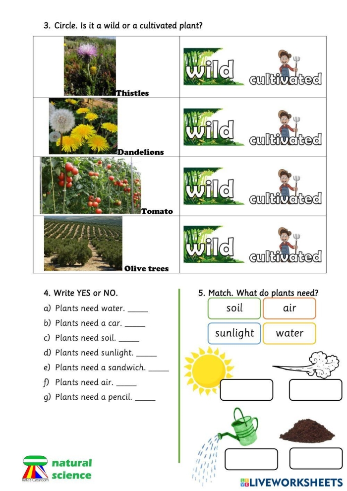 Fourth grade students answering plant biology questions on a worksheet quiz