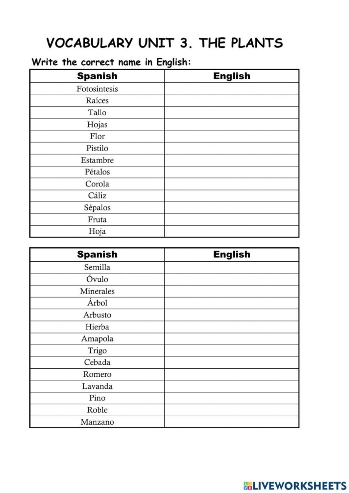 Plant Parts and Vocabulary Review for Young Biologists Fourth grade students learning plant vocabulary and identifying different plant parts on a worksheet
