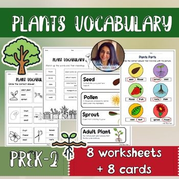 Plant Parts Vocabulary Worksheet for 4th Grade Science Lesson 18 Fourth grade plant vocabulary worksheet with illustrations of various plant parts for science review