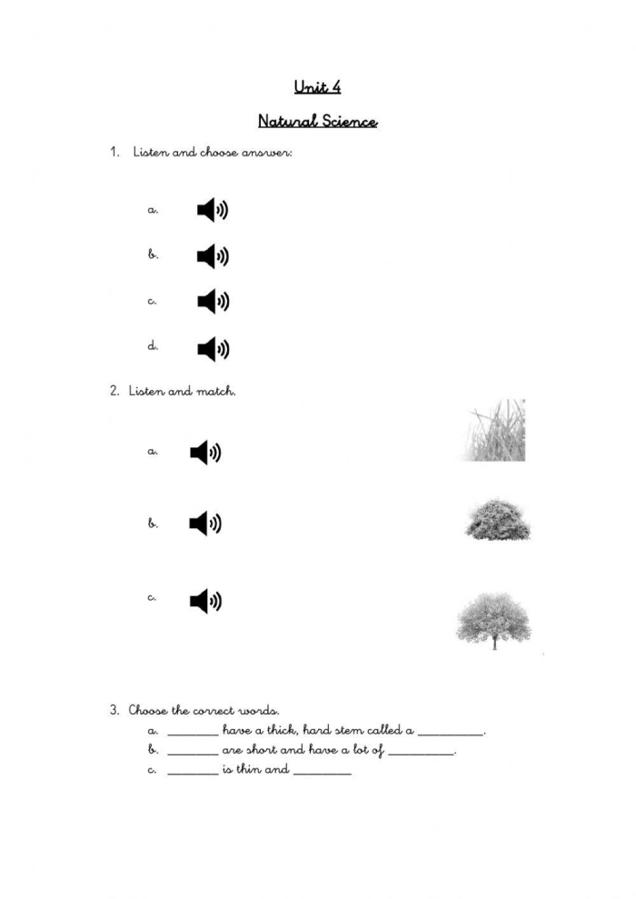 Fourth grade students completing a fun plant quiz worksheet about botanical science
