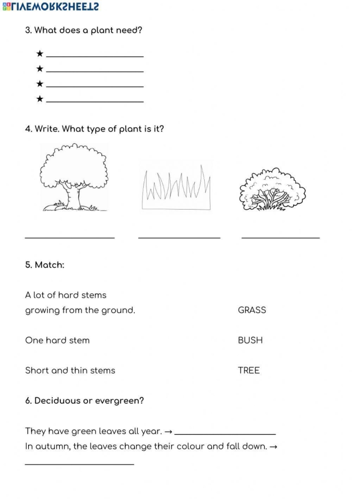 Fourth grade students completing a plant knowledge quiz worksheet with multiple choice questions about botany