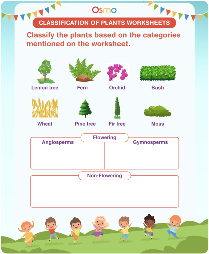 Fourth grade students complete a biology Plant Quiz worksheet featuring labeled diagrams of flowers and roots