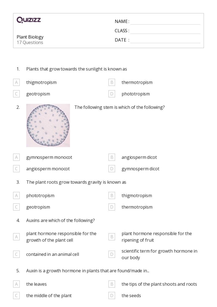 Fourth grade students solving a botanical science quiz worksheet