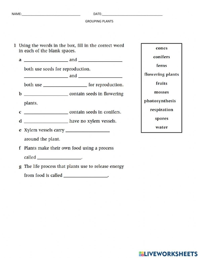 Fourth grade students answering plant knowledge questions on a quiz worksheet with botanical illustrations