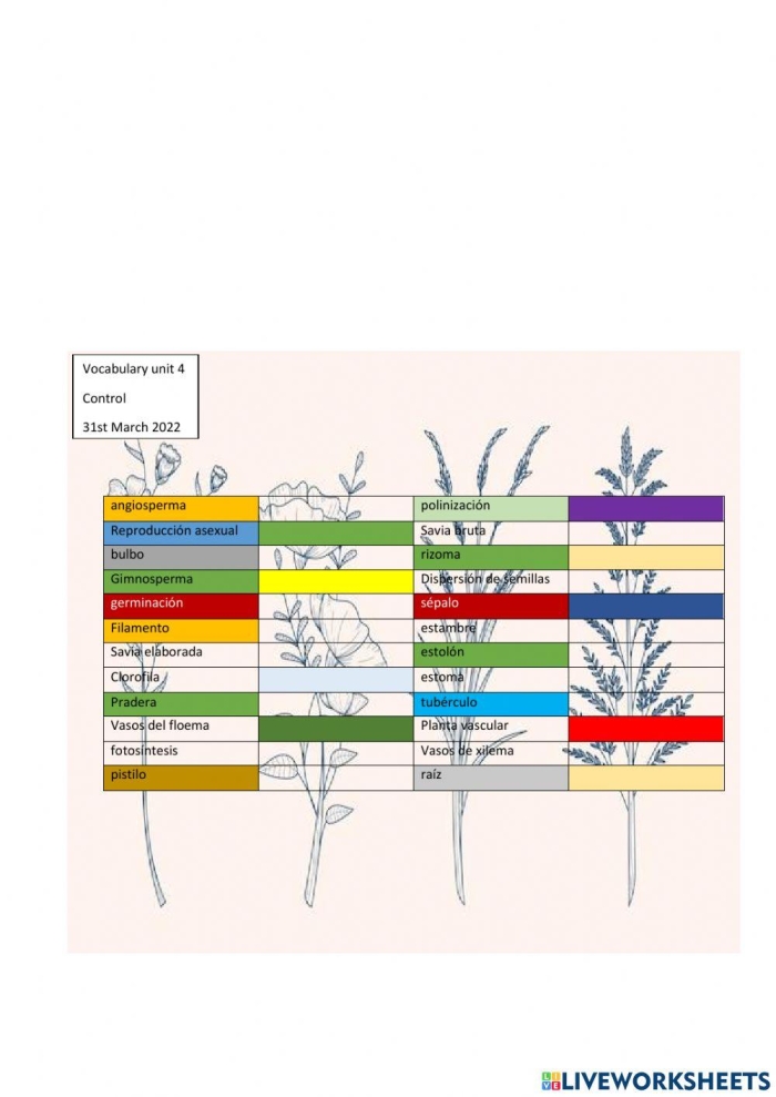 Plant Parts and Biology Vocabulary Review for Elementary Learners Fourth grade students learning plant parts and vocabulary with labeled diagrams and definitions