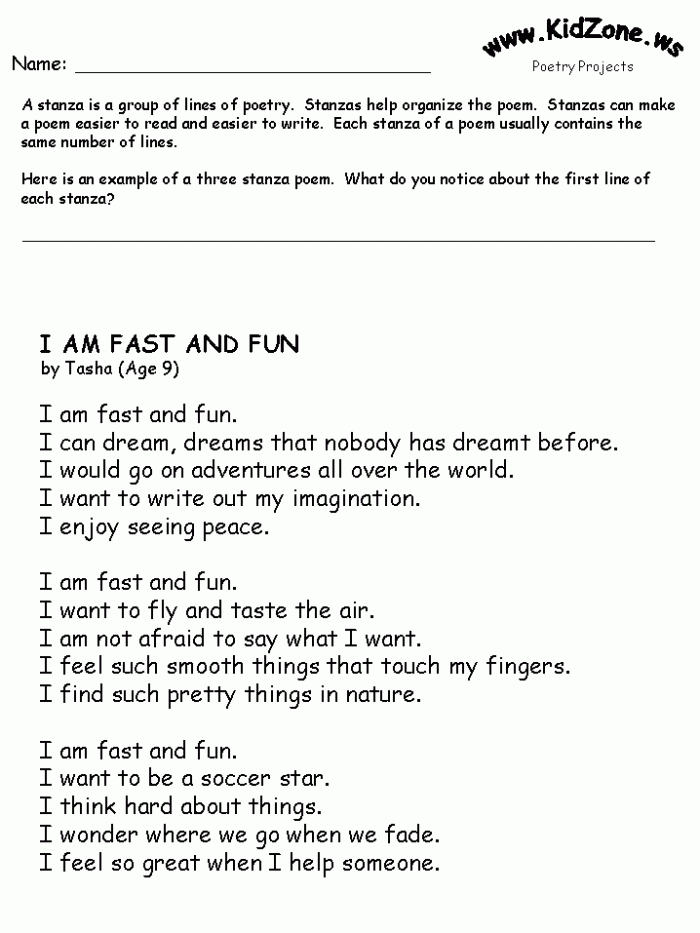 Poetry Guide Worksheet Number Eight for Fourth Grade Literacy Students Fourth grade poetry guide worksheet featuring twelve poetic elements and six different poem styles