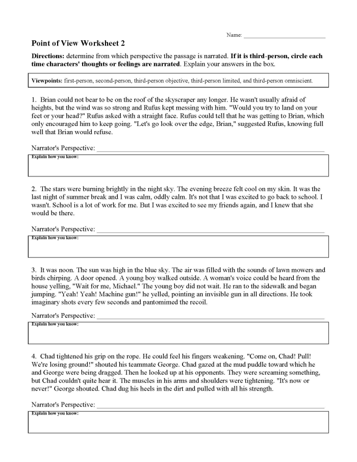Fourth grade student working on a Point of View worksheet for algebra and literacy practice