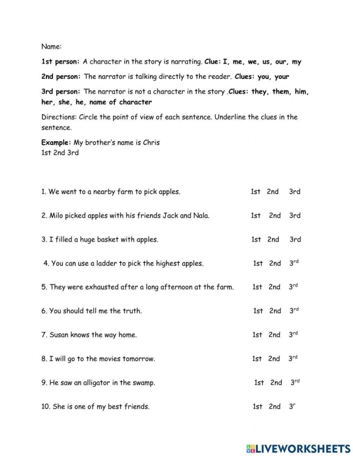 Fourth grade student completing a worksheet on identifying point of view using pronouns