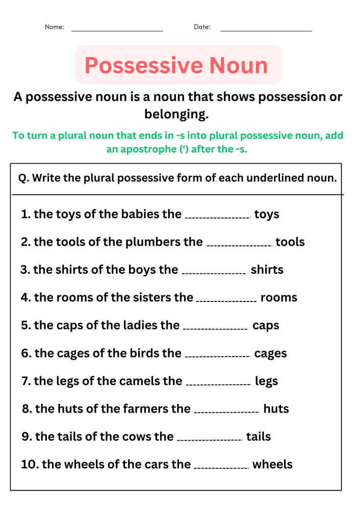 Worksheet focused on singular and plural possessive nouns for fourth-grade students