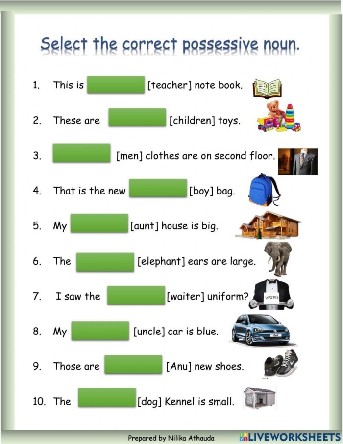 Worksheet for practicing singular and plural possessive nouns for fourth graders