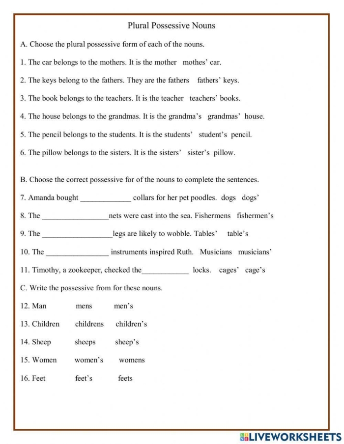 Worksheet guiding fourth graders on singular and plural possessive nouns