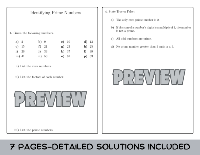 Which Numbers Are Prime? worksheet for practicing fractions in fourth grade Worksheet showing fourth graders solving equations to identify prime numbers