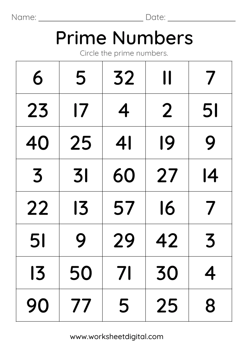 Which Numbers Are Prime? educational activity for students Fourth grade worksheet on identifying prime numbers through equations