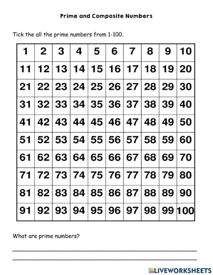 Educational resource for fourth graders on prime number recognition Worksheet featuring equations for identifying prime numbers among answers