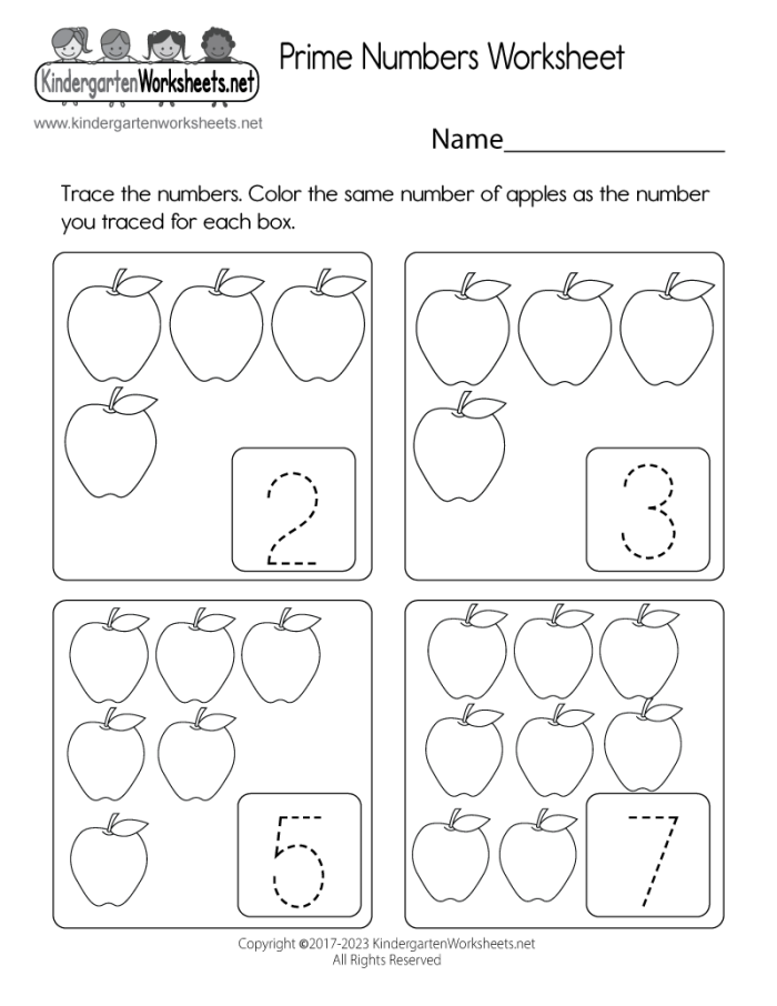 Which Numbers Are Prime? worksheet for practicing fractions and prime identification Worksheet for identifying prime numbers through various equations for fourth graders