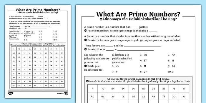 Image illustrating the "Which Numbers Are Prime?" activity for practicing fractions Worksheet featuring fourth-grade students identifying prime numbers from solved equations