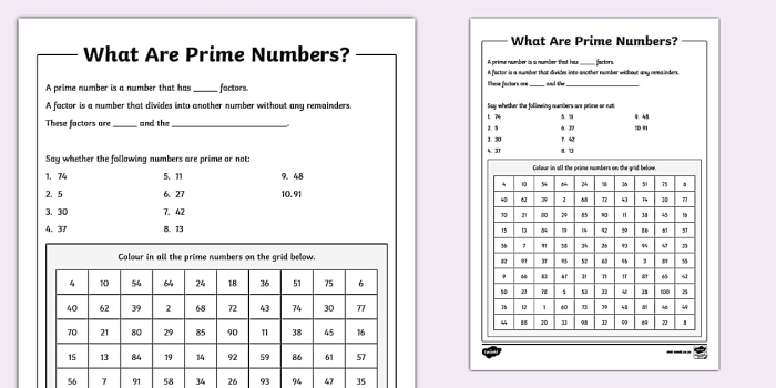 Which Numbers Are Prime? worksheet for fourth graders on fractions Worksheet for identifying prime numbers through various equations
