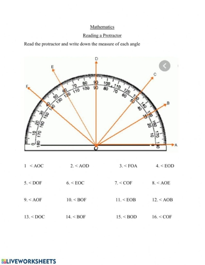 Fourth grade student using a protractor to measure angles on a math worksheet 21