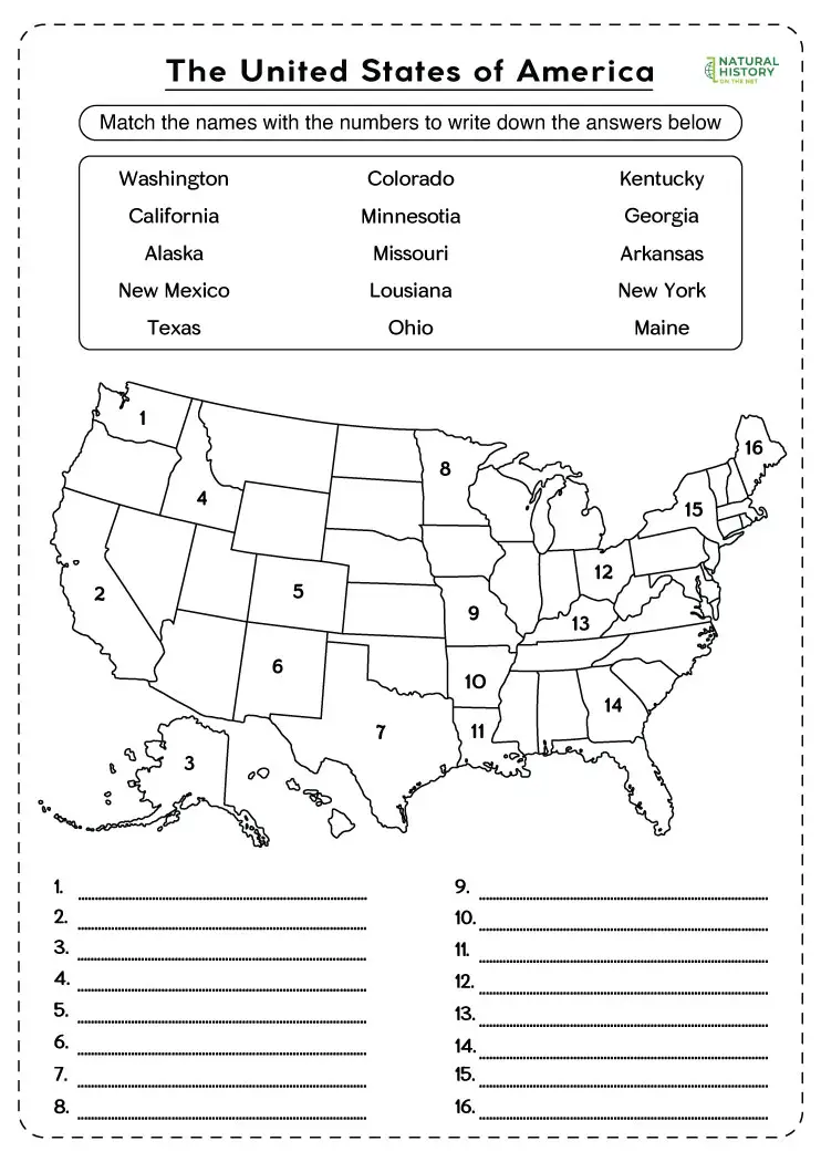 Map of the United States highlighting its eight regions for a fourth-grade worksheet