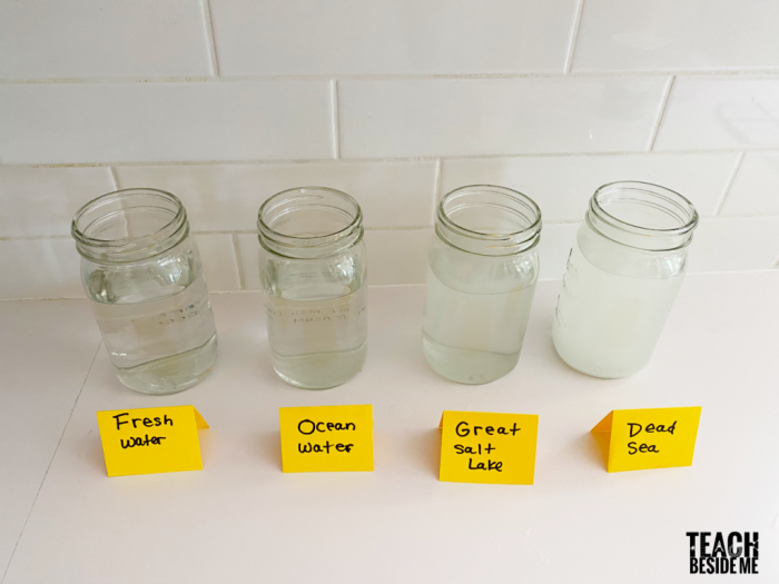 Worksheet depicting a fourth-grade experiment on the density of salt water with food coloring. Educational activity for students exploring the properties of salt water and fresh water.