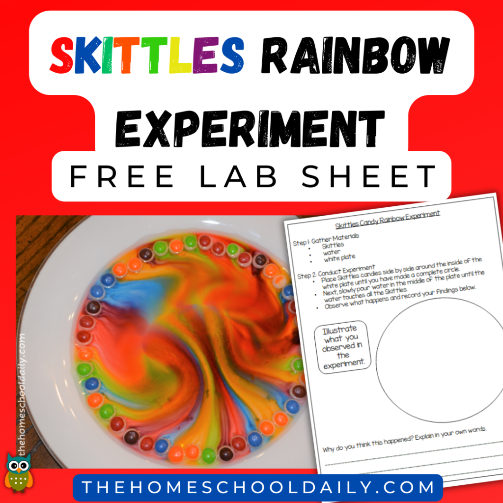 Worksheet for exploring the density of salt water with an experiment for fourth graders