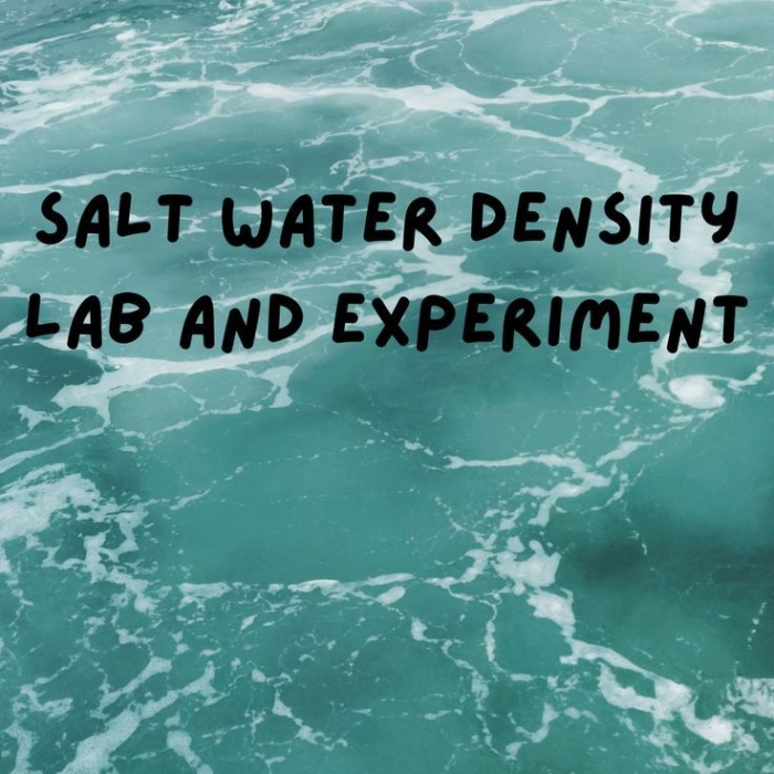 Worksheet on the density of salt water for fourth graders featuring an experiment with food coloring. Interactive learning about salt water density for young scientists in a fun educational setting.