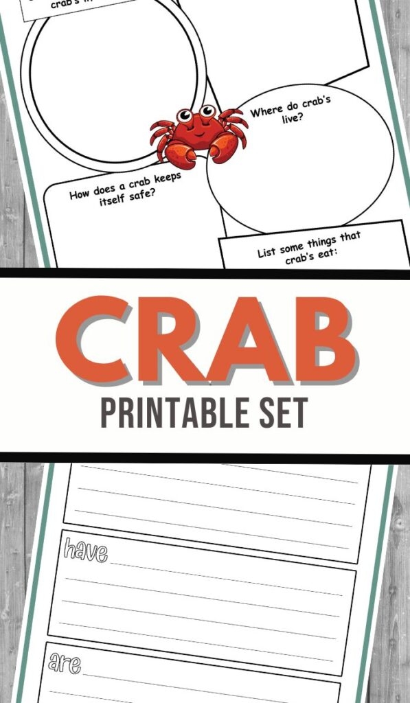 Illustration of characters from "The Crab That Played with the Sea" worksheet for fourth graders