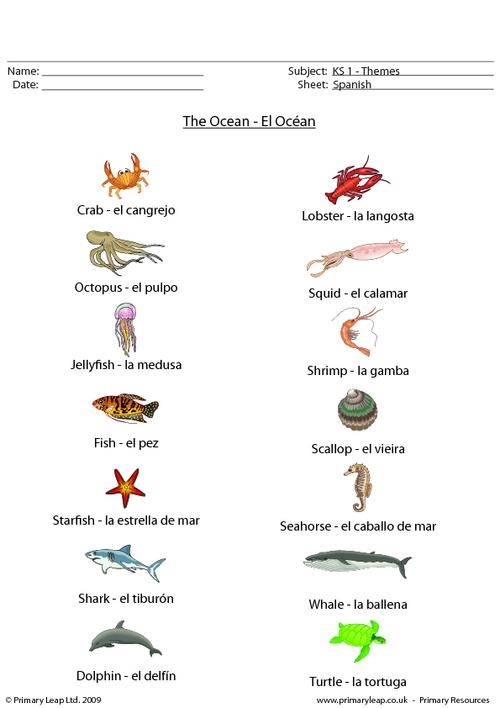 Fourth grade Spanish Sea Creatures worksheet featuring ocean animals with vocabulary exercises