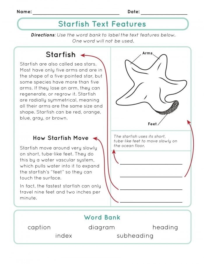 Soccer Nonfiction Text Worksheet Lesson 25 Fourth grade reading worksheet featuring a nonfiction soccer passage for evidence-based practice