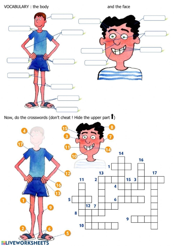 Partes del Cuerpo Spanish vocabulary exercise for 4th grade students 18 Fourth grade Spanish worksheet for learning and spelling basic parts of the body
