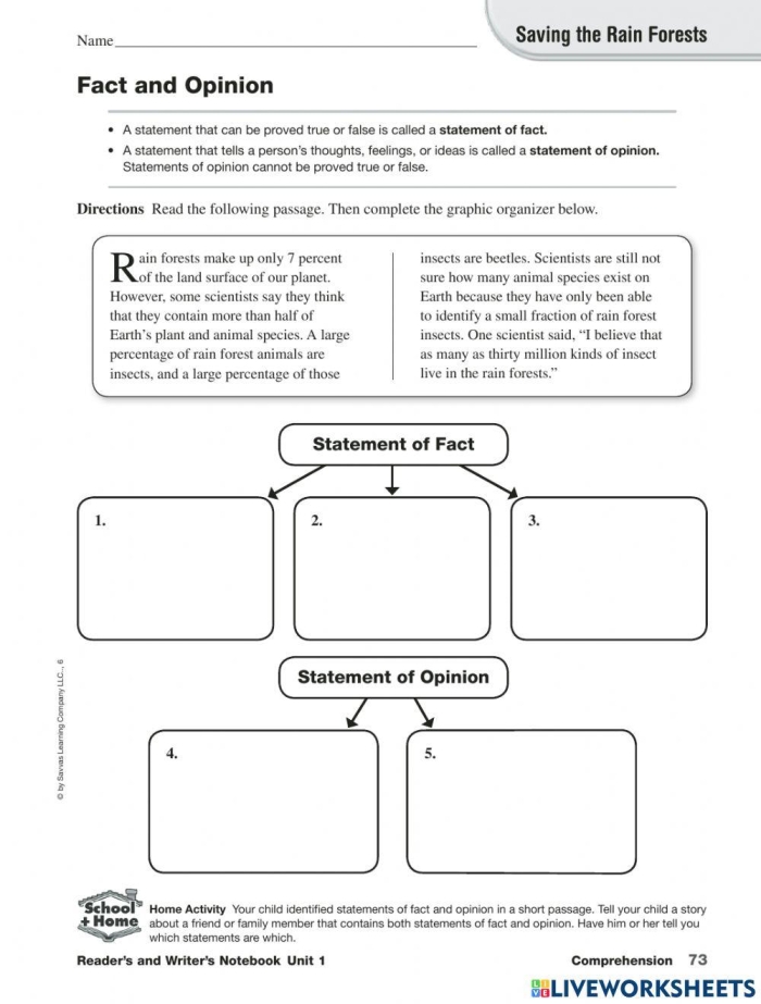 Fourth grade Spanish worksheet for practicing the identification of facts and opinions