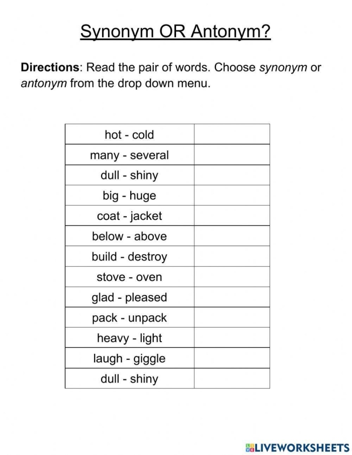 Fourth grade worksheet featuring practice exercises for identifying synonyms and antonyms