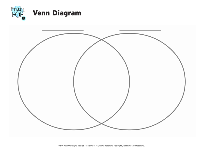 Blank Venn diagram with lines designed for student analysis and comparison activities Venn diagram worksheet for comparing and contrasting two stories in fourth-grade algebra