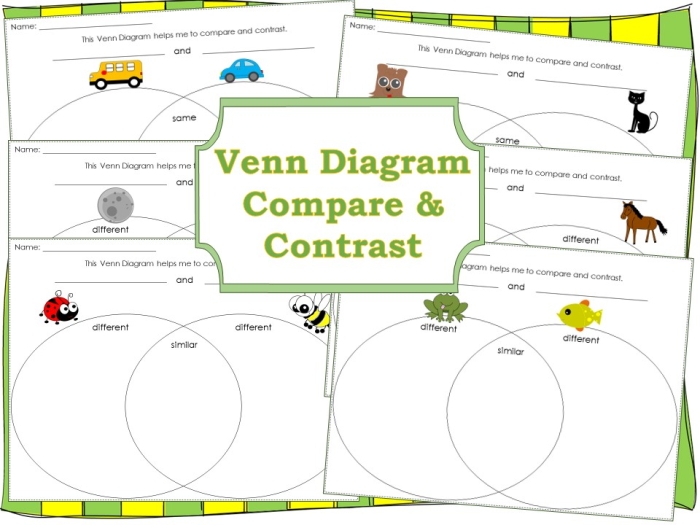 Blank Venn diagram designed to help students analyze and organize their thoughts Venn diagram worksheet for fourth graders to compare and contrast two stories