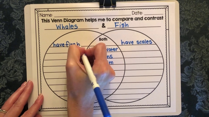 Venn Diagram Worksheet for Analyzing Stories in Algebra Class Blank Venn diagram worksheet for fourth graders to compare and contrast two stories
