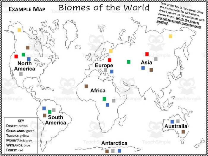 Fourth Grade Biomes of the World Study Map - Image 3 A world map showing different colored regions representing terrestrial biomes including deserts, forests, grasslands, and tundra