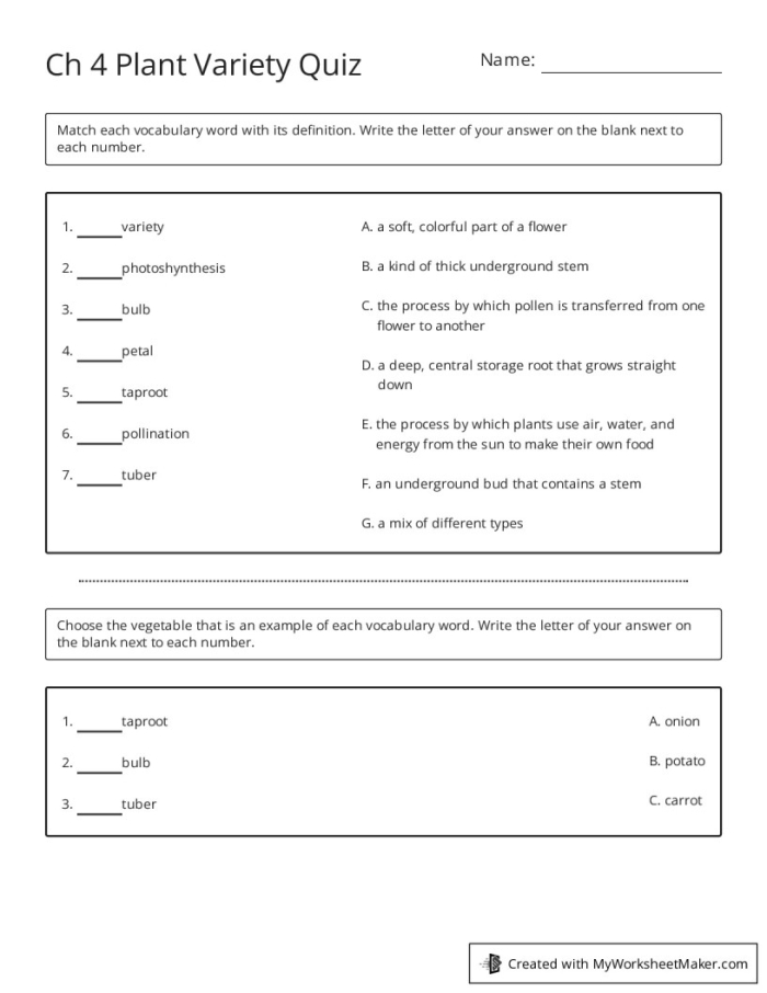 Fourth grade students answering plant biology quiz questions on a worksheet